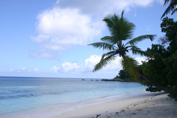 anse S&eacute;v&egrave;re 