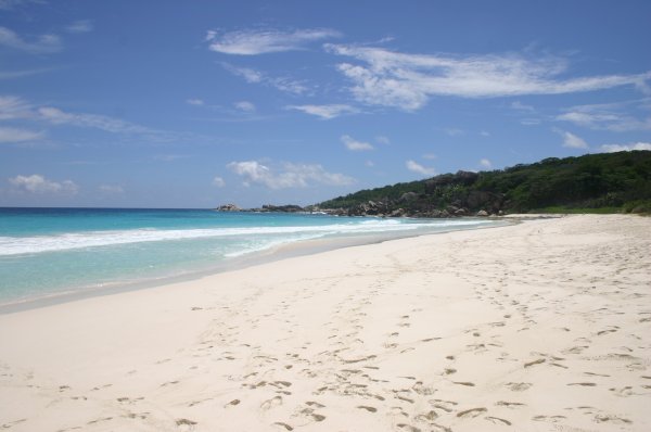 Pointe Canon - Grande Anse - Seychelles 
