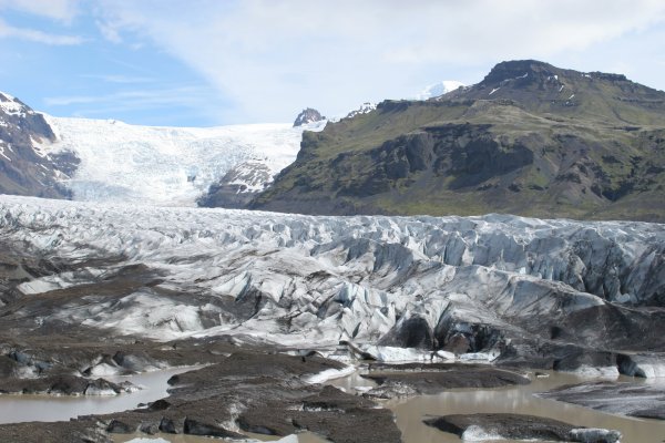 Sv&iacute;nafellsj&ouml;kull 
