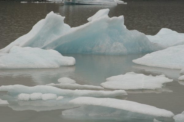 Fjalls&aacute;rl&oacute;n 