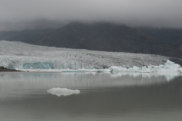 Fjalls&aacute;rl&oacute;n 