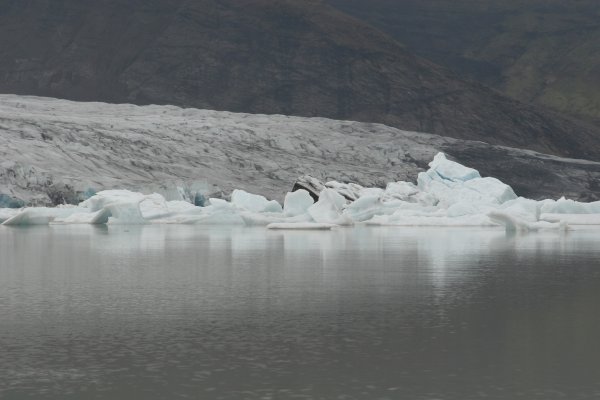 Fjalls&aacute;rl&oacute;n 