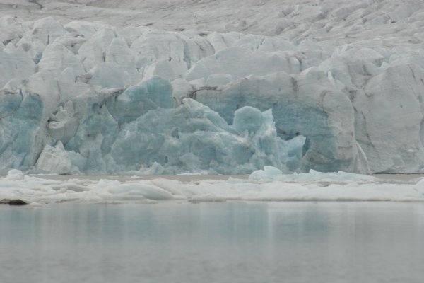 Fjalls&aacute;rl&oacute;n 