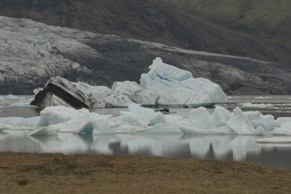 Fjalls&aacute;rl&oacute;n 