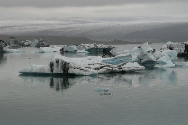 Fjalls&aacute;rl&oacute;n 