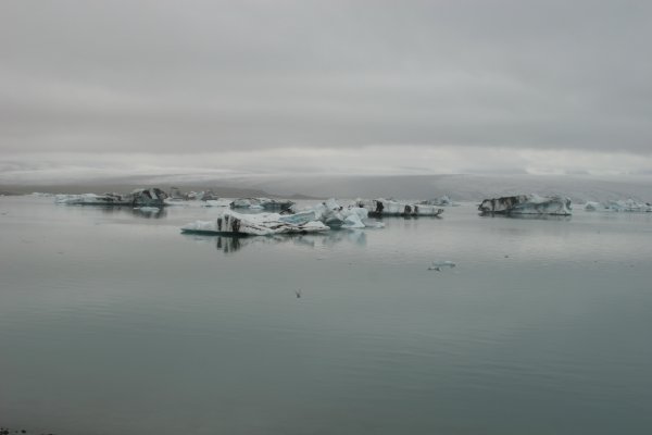 Fjalls&aacute;rl&oacute;n 