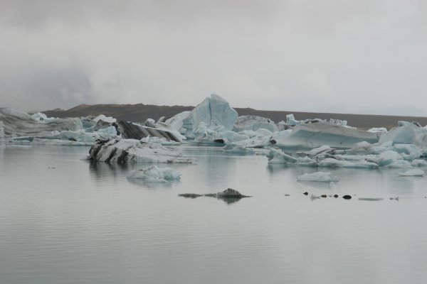 Fjalls&aacute;rl&oacute;n 