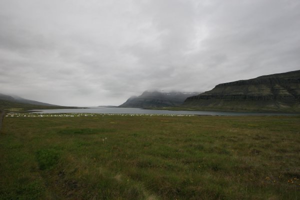 Fjord de Berufj&ouml;r&eth;ur 