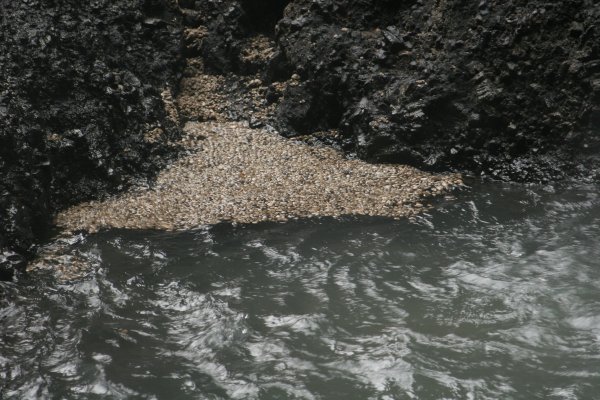 Drekagil "les gorges du dragon". 