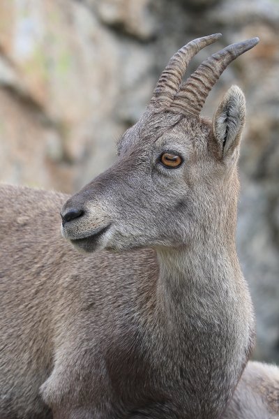 Col de Fen&egrave;stre - 2014 