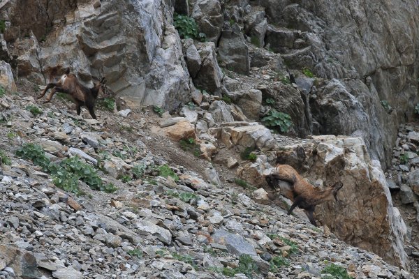 Col de Fen&egrave;stre - 2014 
