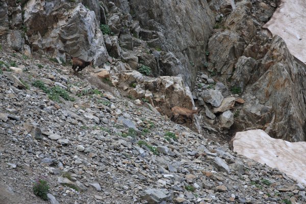 Col de Fen&egrave;stre - 2014 