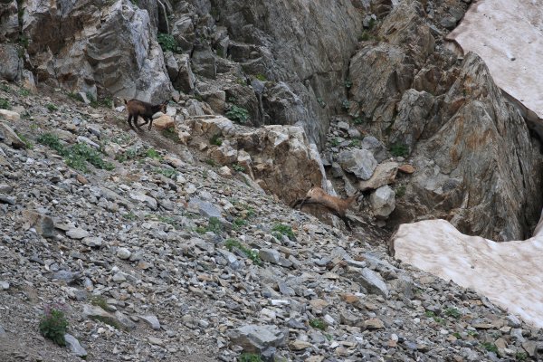 Col de Fen&egrave;stre - 2014 