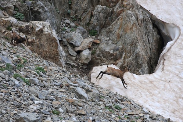 Col de Fen&egrave;stre - 2014 
