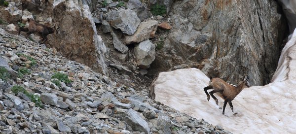 Col de Fen&egrave;stre - 2014 