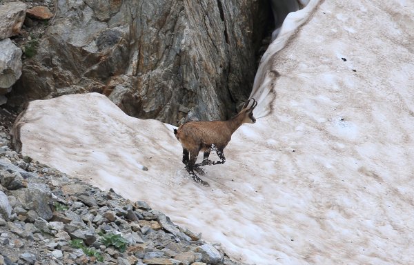 Col de Fen&egrave;stre - 2014 