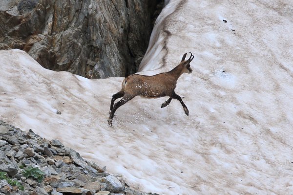 Col de Fen&egrave;stre - 2014 