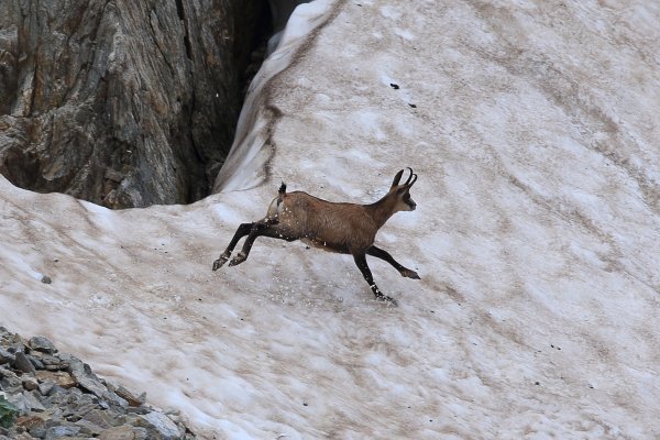 Col de Fen&egrave;stre - 2014 