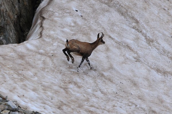 Col de Fen&egrave;stre - 2014 