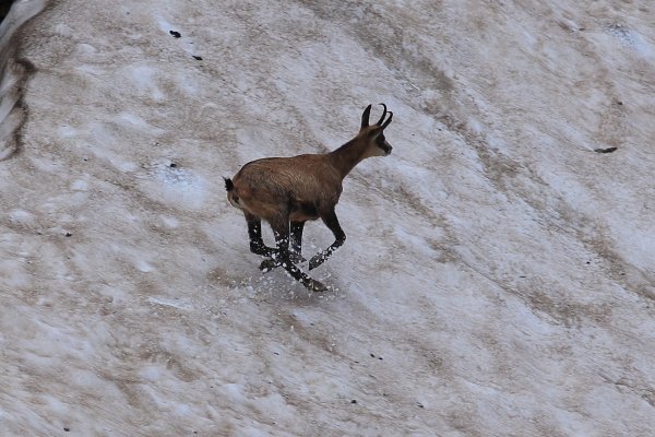 Col de Fen&egrave;stre - 2014 