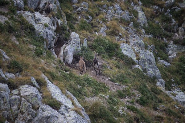 Col de Fen&egrave;stre - 2014 