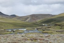 Travers&eacute;e d'une coul&eacute;e de lave couverte de mousse