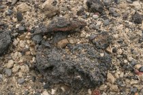 Askja, V&iacute;ti, &Ouml;skjuvatn