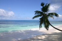 La Digue: anse s&eacute;v&egrave;re, grande anse, petite anse, anse source d'argent, ...
