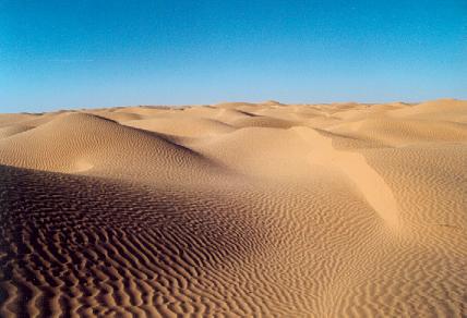 2002: Randonn&eacute;e chameli&egrave;re dans le Sud tunisien en lisi&egrave;re du grand Erg Oriental